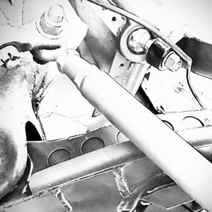 Meet your Posher, Oscar